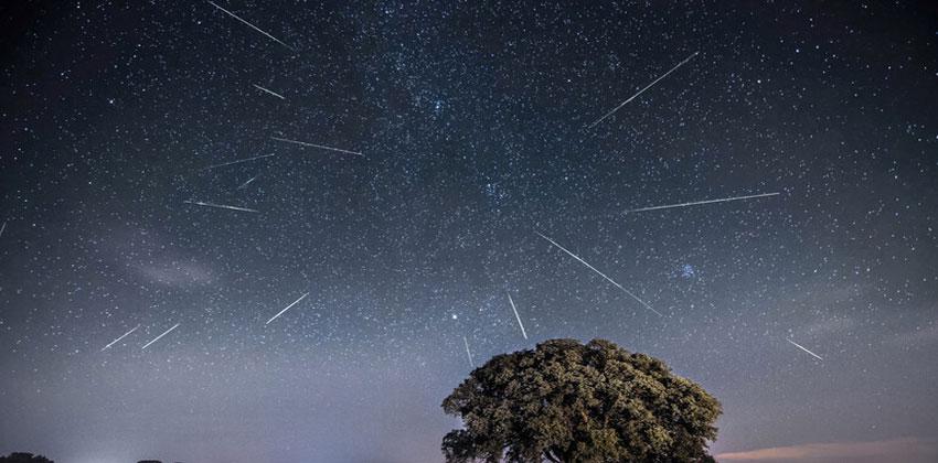 شهب الجباريات