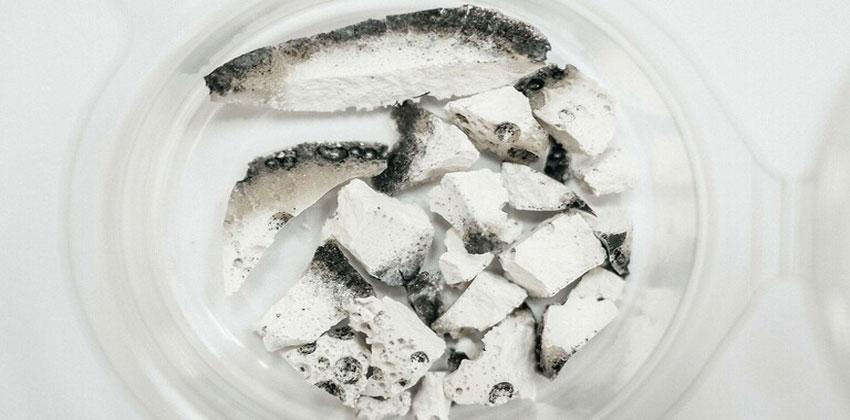 الوقود الحيوي