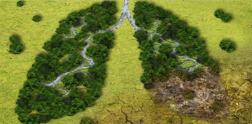 طقس الأرض
