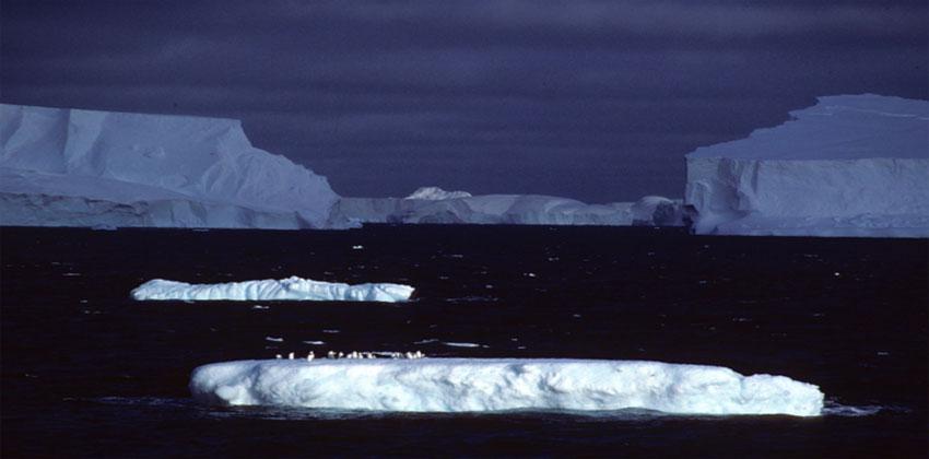 أنتاركتيكا