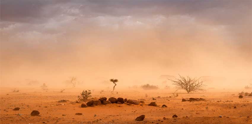 العواصف الرملية