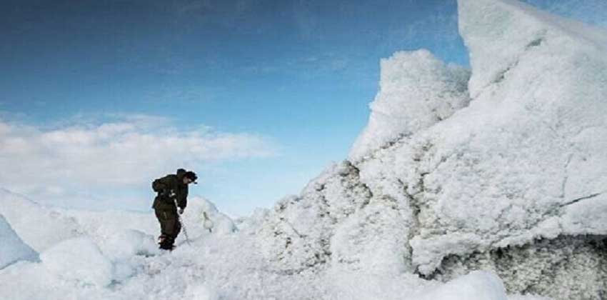 أنتاركتيكا