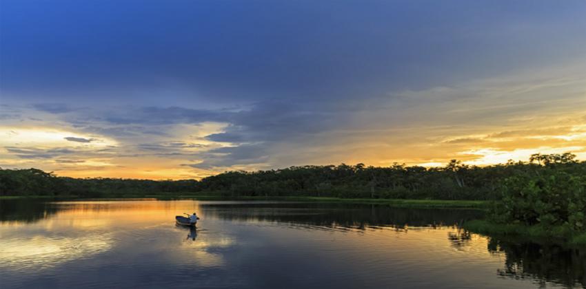 لماذا لا توجد جسور فوق نهر الأمازون؟ - المؤسسة الخضراء | The Green ...