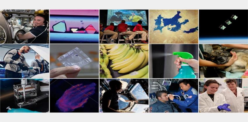 محطة الفضاء الدولية