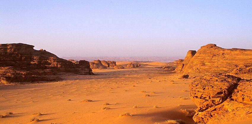 المصائد الصحراوية