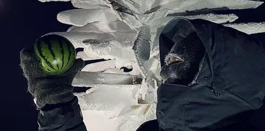 زراعة البطيخ في القطب الجنوبي علماء روس ينجحون في إنباته