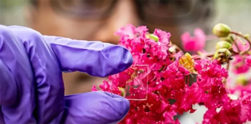 طلاء للزجاج عازل وشفاف ولا يتأثر بالأمطار