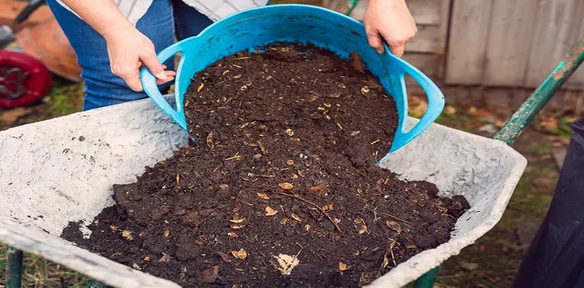  اختبار التربة في كانون الثاني كخطوة ذكية لبداية ربيعية قوية