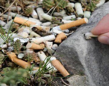 أعقاب السجائر تتحول إلى قنابل ميكروبلاستيكية فور ملامستها للمياه