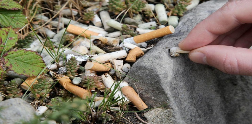 أعقاب السجائر تتحول إلى قنابل ميكروبلاستيكية فور ملامستها للمياه
