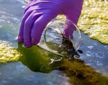 تلوث المياه يضرب العالم: 46% من البيئات المائية ملوثة وفق دراسة عالمية 