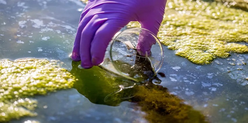 تلوث المياه يضرب العالم: 46% من البيئات المائية ملوثة وفق دراسة عالمية 